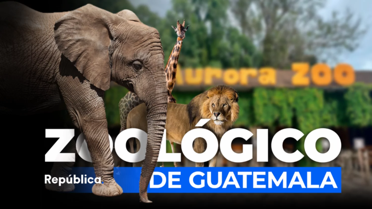 Precio guatemala hot sale