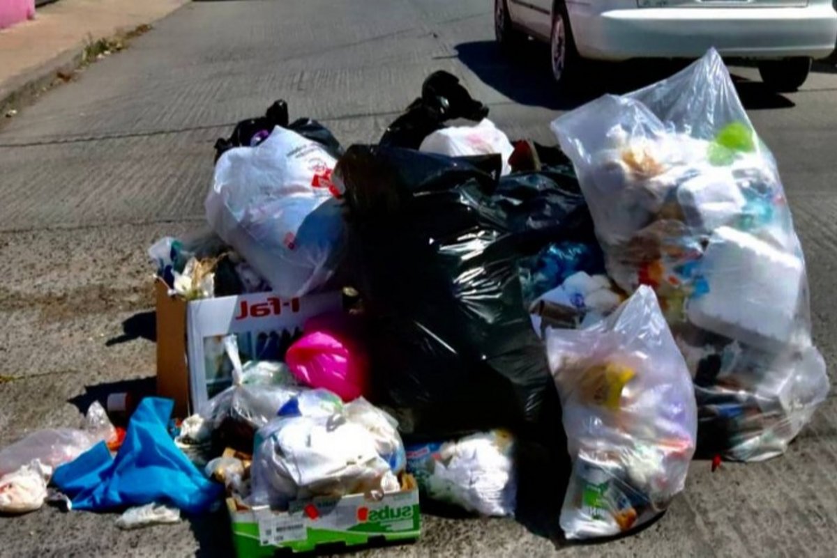 Formas de reciclar¡je de basura orgánica